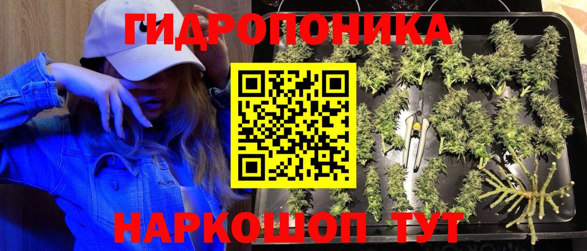 Канабис план Красноуфимск